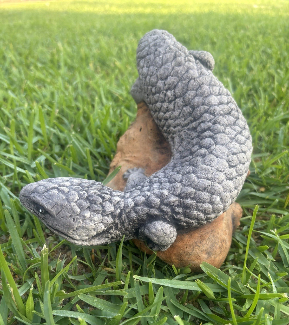 Concrete Shingleback Lizard Garden Statue – Realistic Australian Bobtail Outdoor