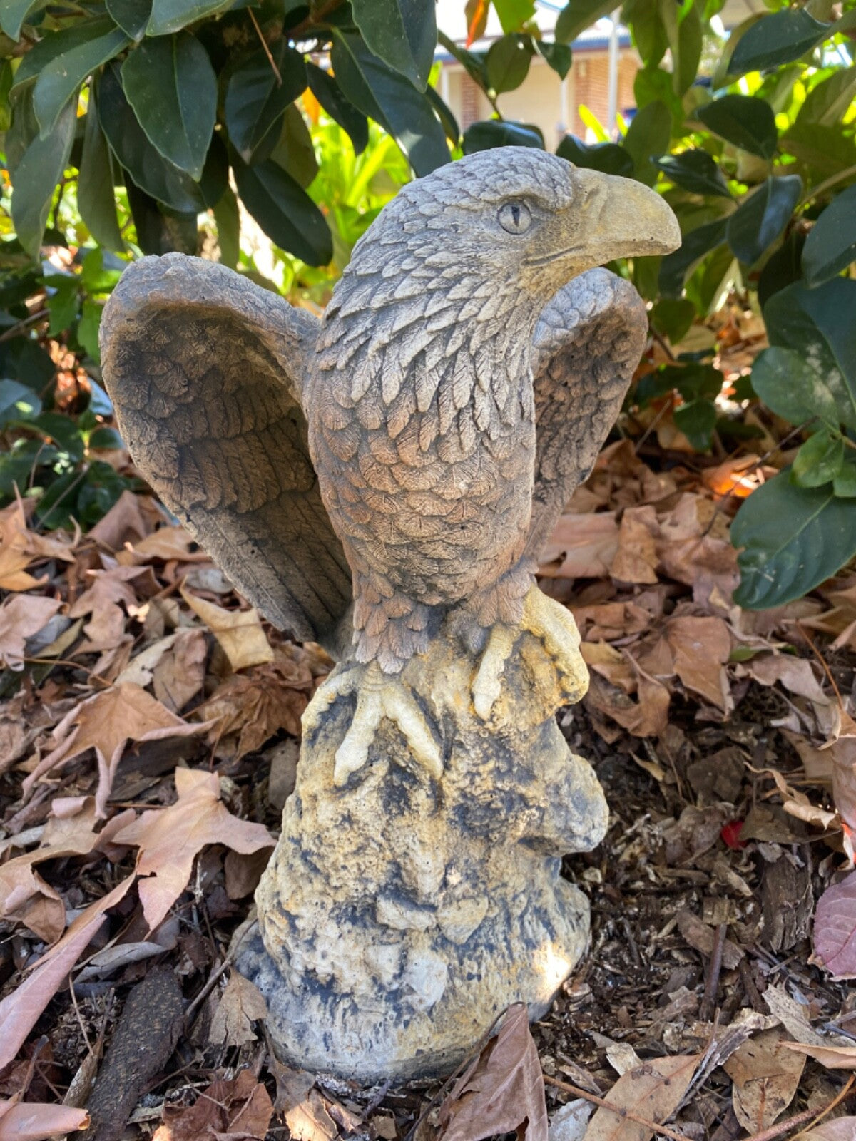 Bold Eagle Bird Statue Ornament Animal Concrete Garden Australian Made