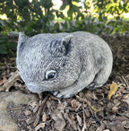 Australian Wombat Grazing Statue Ornament Animal Concrete Garden Australian Made