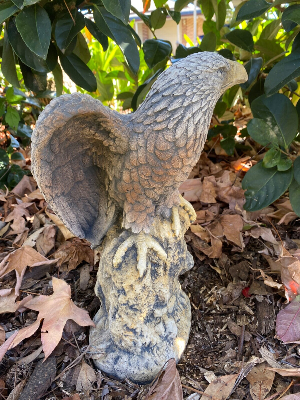 Bold Eagle Bird Statue Ornament Animal Concrete Garden Australian Made