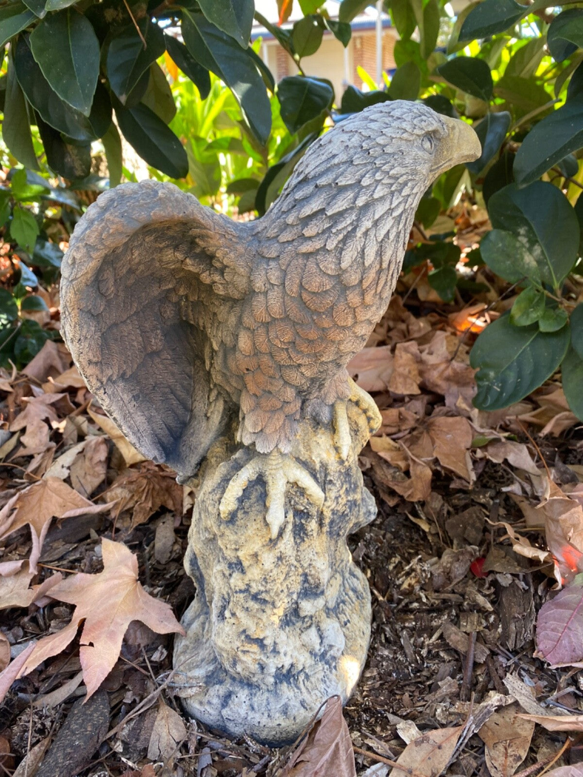 Bold Eagle Bird Statue Ornament Animal Concrete Garden Australian Made