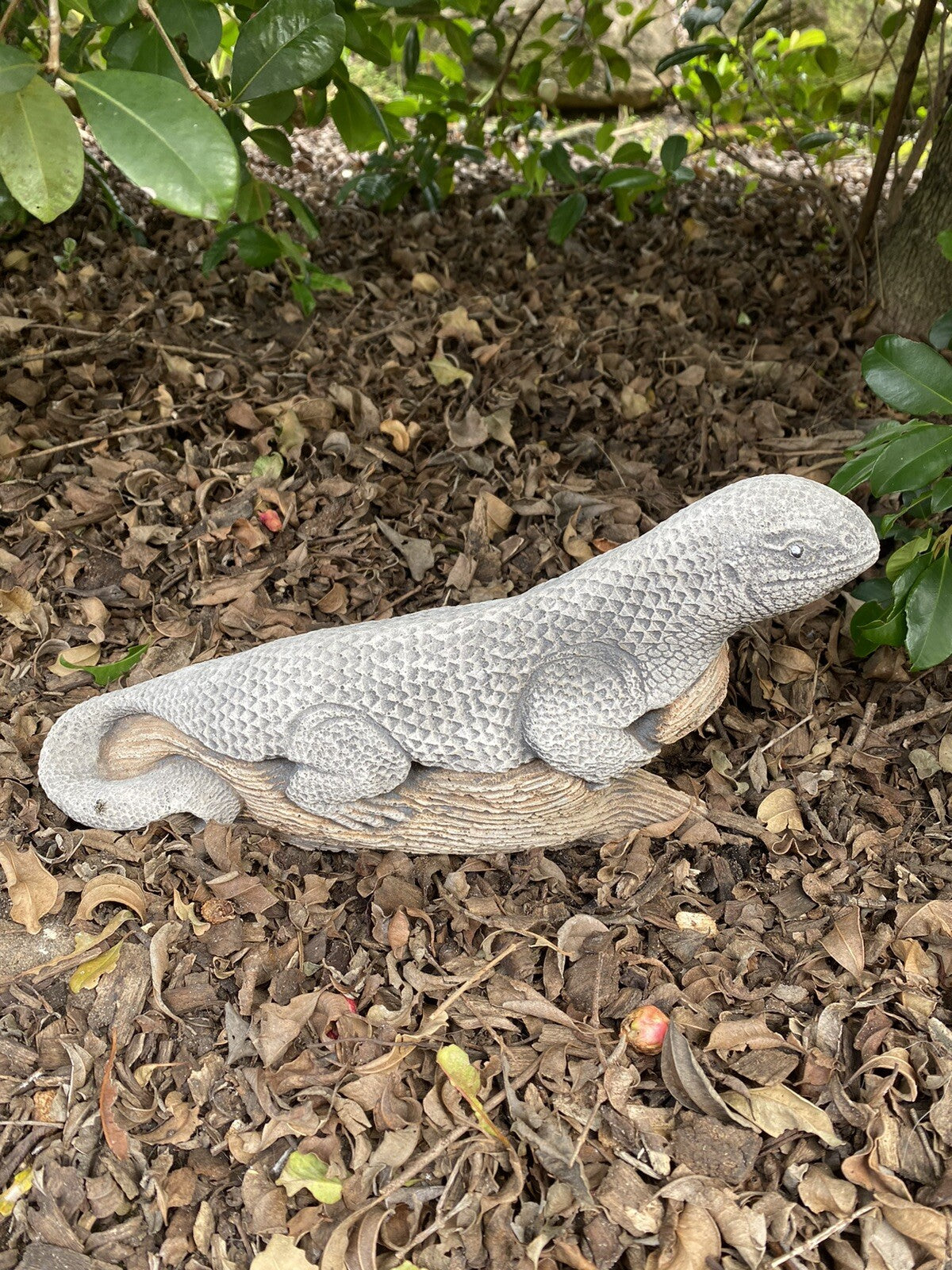 Grasslands Dragon Lizard Statue Ornament Animal Concrete Garden Australian Made