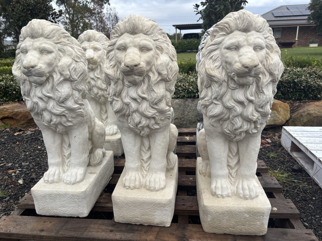 Guardian Lion Pair Statue Garden Statue  75cm Pick Up Only