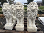 Guardian Lion Pair Statue Garden Statue  75cm Pick Up Only