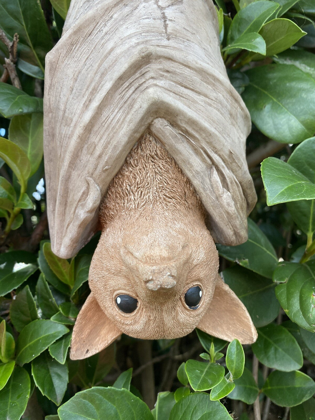 Hanging Bat Flying Fox Statue Concrete Garden Ornament Australian Made