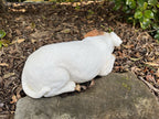 Jack Russell Fox Terrier Dog Memorial Garden Statue