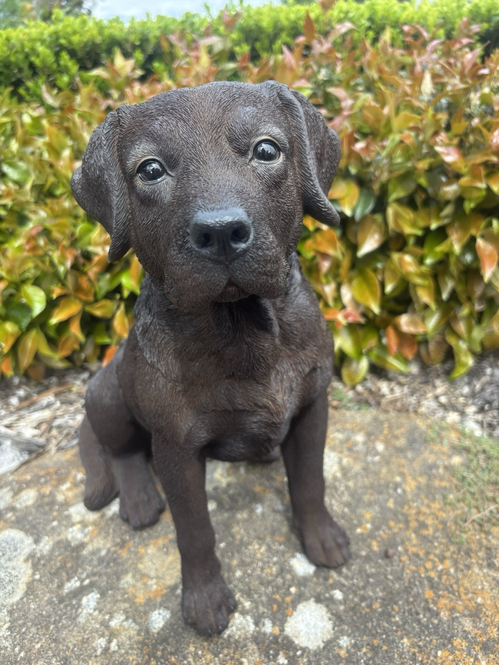 Resin Chocolate Labrador Dog Statue Garden Ornament Sitting Puppy