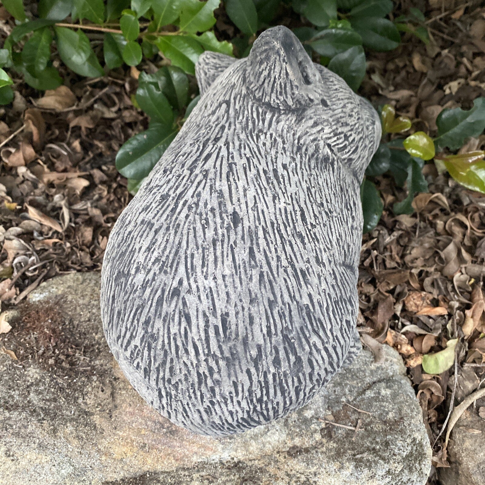 Australian Wombat Statue Ornament Animal Concrete Cement Garden Australian Made