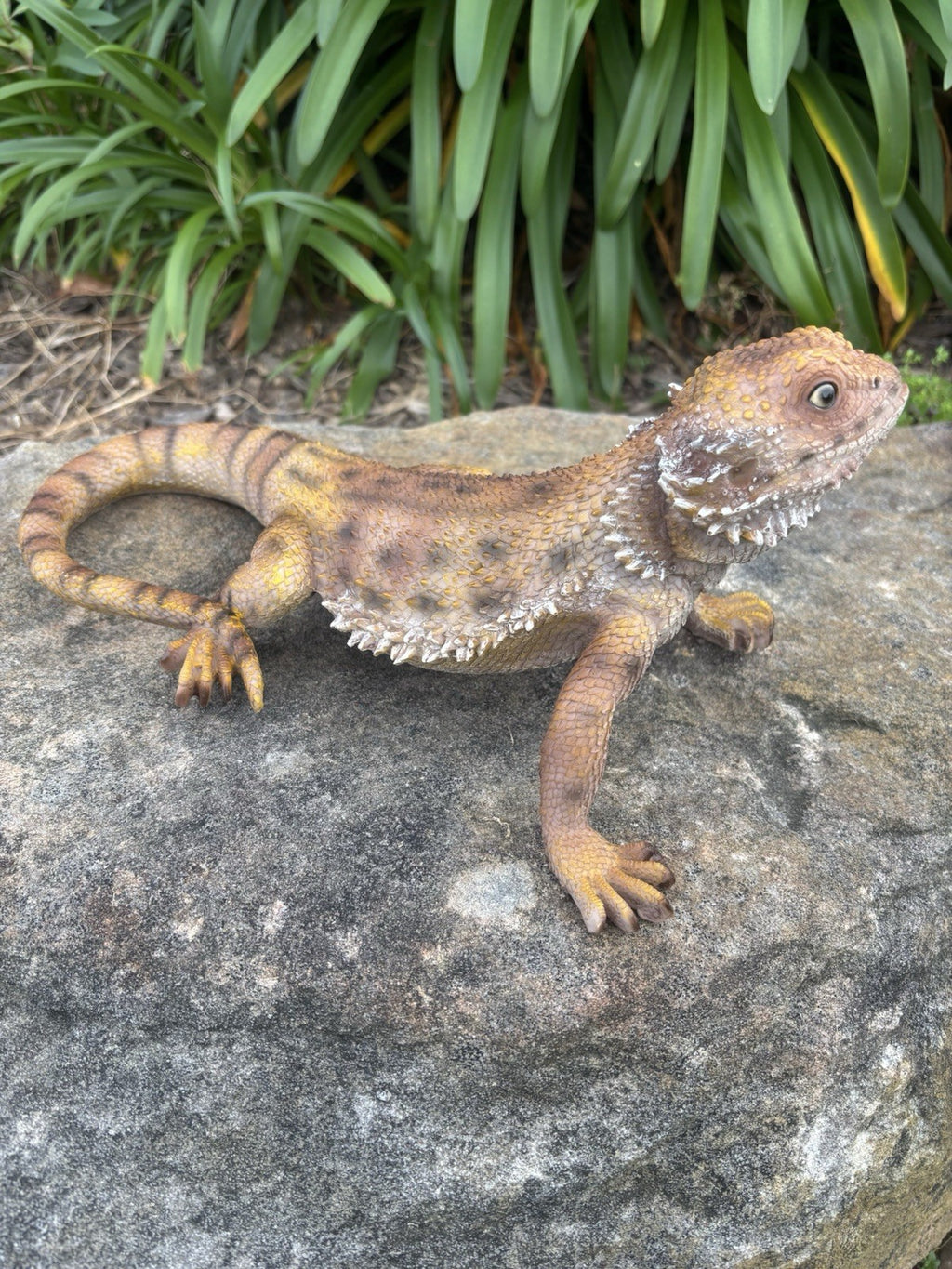 Bearded Dragon Lizard Garden Statue Ornament Figurine Life Size Figurine