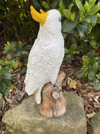 Sulfa Crested Cockatoo Garden Statue Ornament Animal Concrete  Australian Made