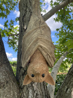 Hanging Bat Flying Fox Statue Concrete Garden Ornament Australian Made