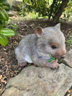 AUSTRALIAN WOMBAT EATING A LEAF GARDEN STATUE