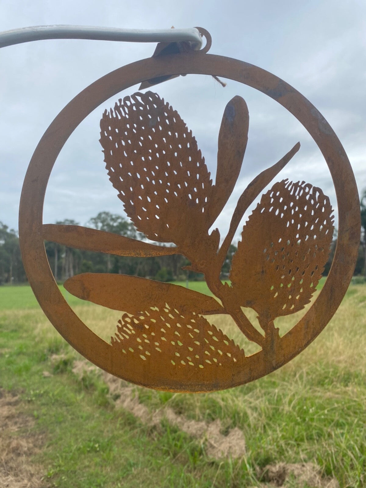 Australian Native Banksia Flower Round Rust Corten Steel Metal Hanging 28 cm