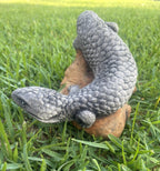Concrete Shingleback Lizard Garden Statue – Realistic Australian Bobtail Outdoor
