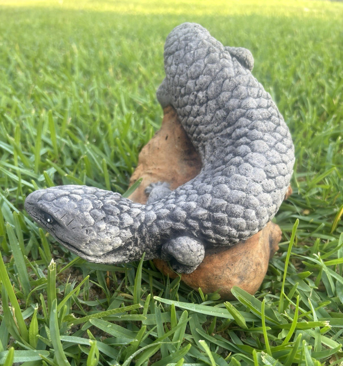 Concrete Shingleback Lizard Garden Statue – Realistic Australian Bobtail Outdoor
