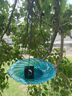 Hanging Glass Bird Feeder | Decorative Outdoor Wild Bird Feeder with Chain