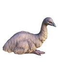 Emu Sitting Realistic Ornament Statue Garden Sculpture Décor  Large 44 cm
