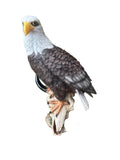 EAGLE PERCHED ON SKULL BIRD ANIMAL GARDEN STATUE ORNAMENT FIGURINE