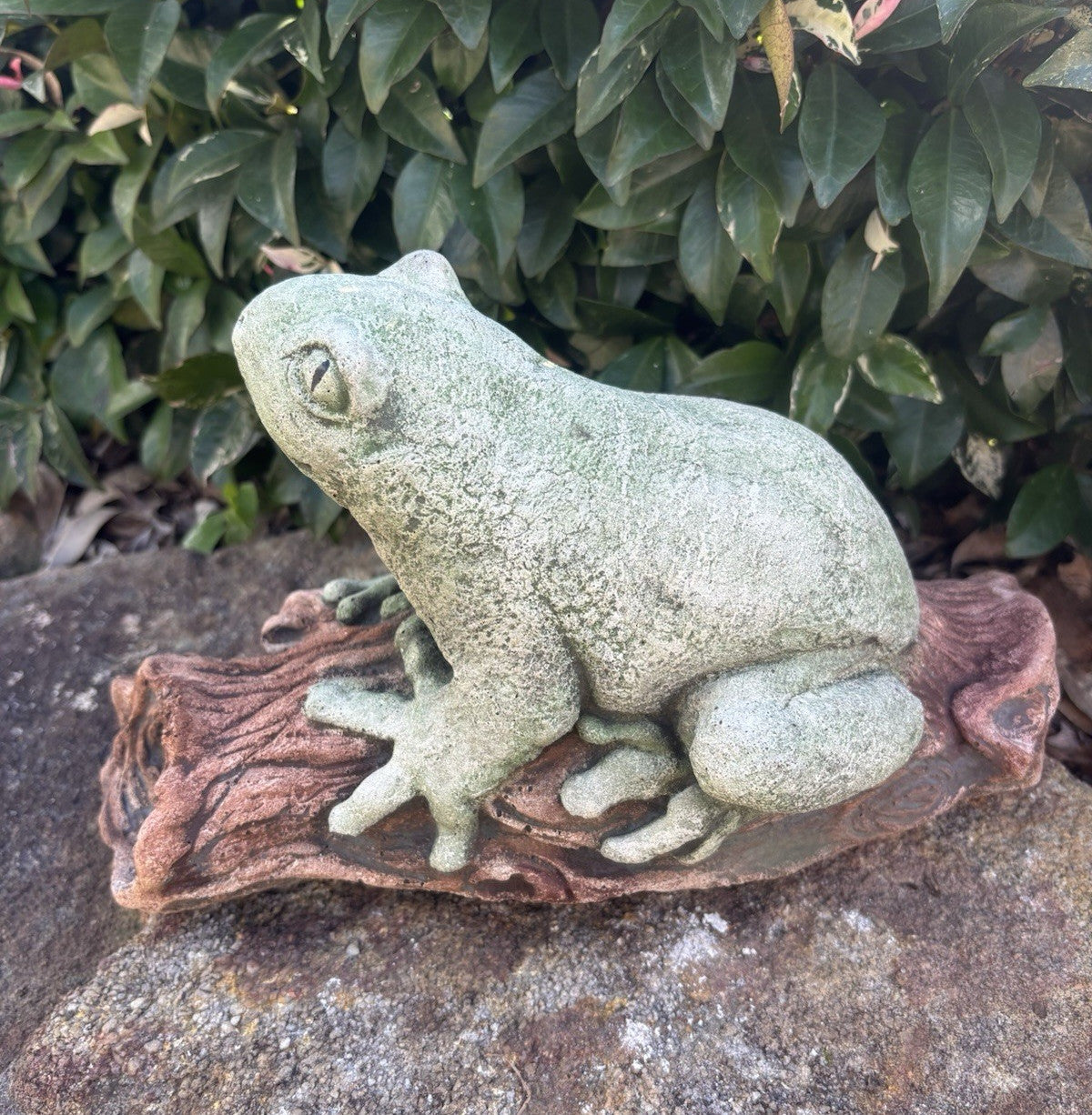 Green Tree Frog On A Log  Animal Concrete Cement Garden Statue Australian Made