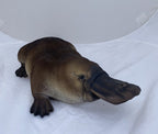 Australian Native Platypus Statue Ornament Animal  Garden Australian Made