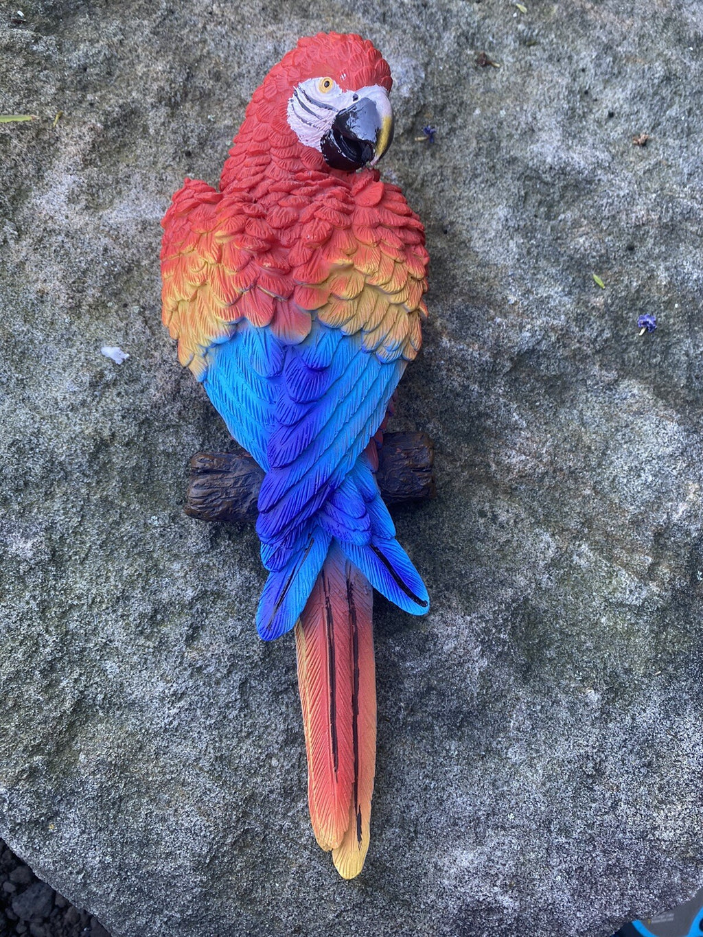 HANGING MACAW PARROT BIRD ANIMAL GARDEN STATUE ORNAMENT FIGURINE