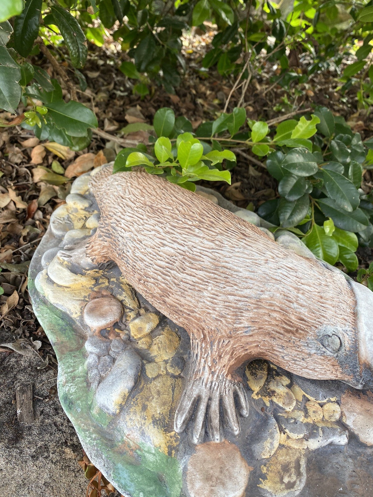Australian Native Platypus Animal Concrete Cement Garden Statue Australian Made