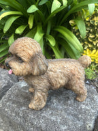 Cavoodle Resin Dog Garden Statue – Cute Dog Ornament