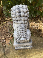 Foo Dog Guardian Lion Statue Concrete Cement Garden Statue Australian Made