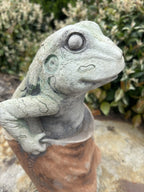 Frog In Potato Sack Animal Concrete Cement Garden Statue Australian Made