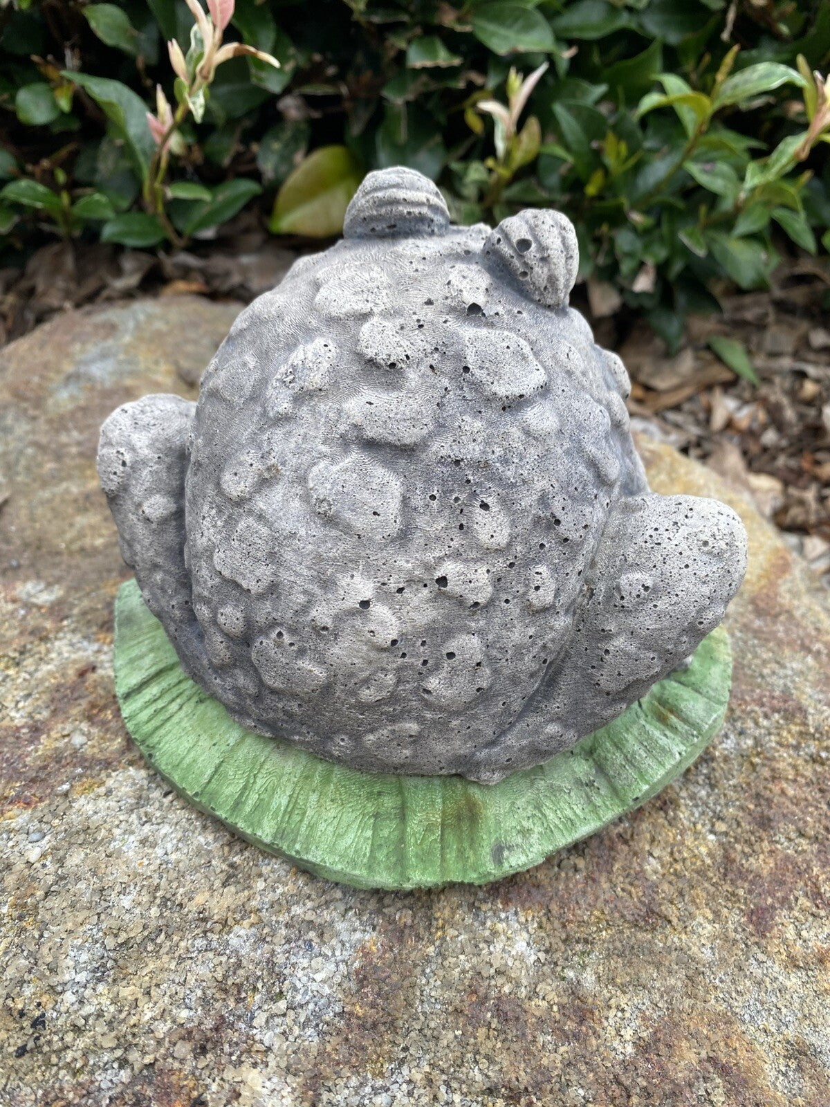Smiling Frog  Animal Concrete Cement Garden Statue Australian Made