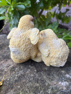 Chicken Chicks Poultry Garden Statue Ornament Figurine