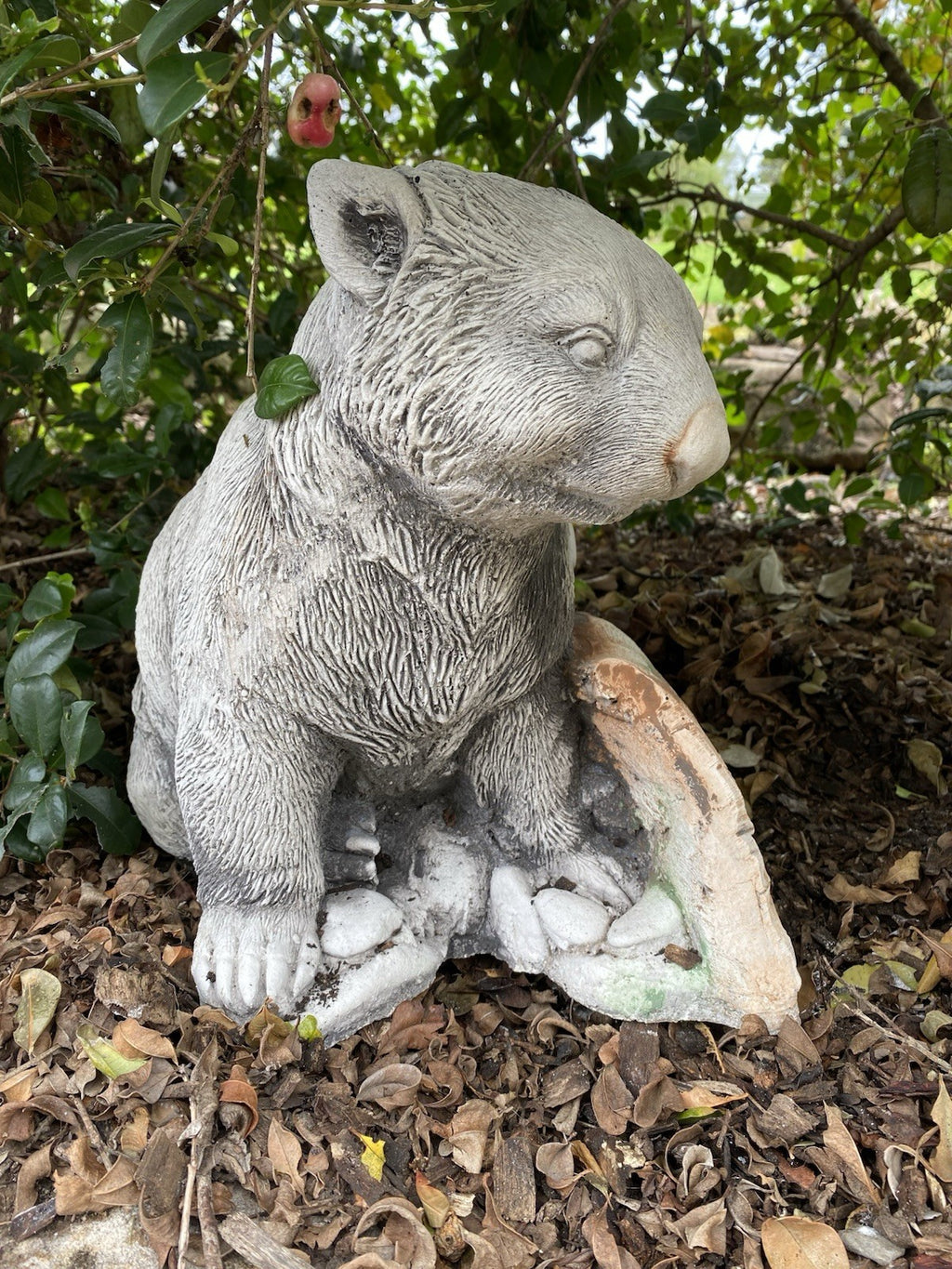 AUSTRALIAN SCRATCHING WOMBAT ANIMAL CONCRETE GARDEN STATUE ORNAMENT FIGURINE