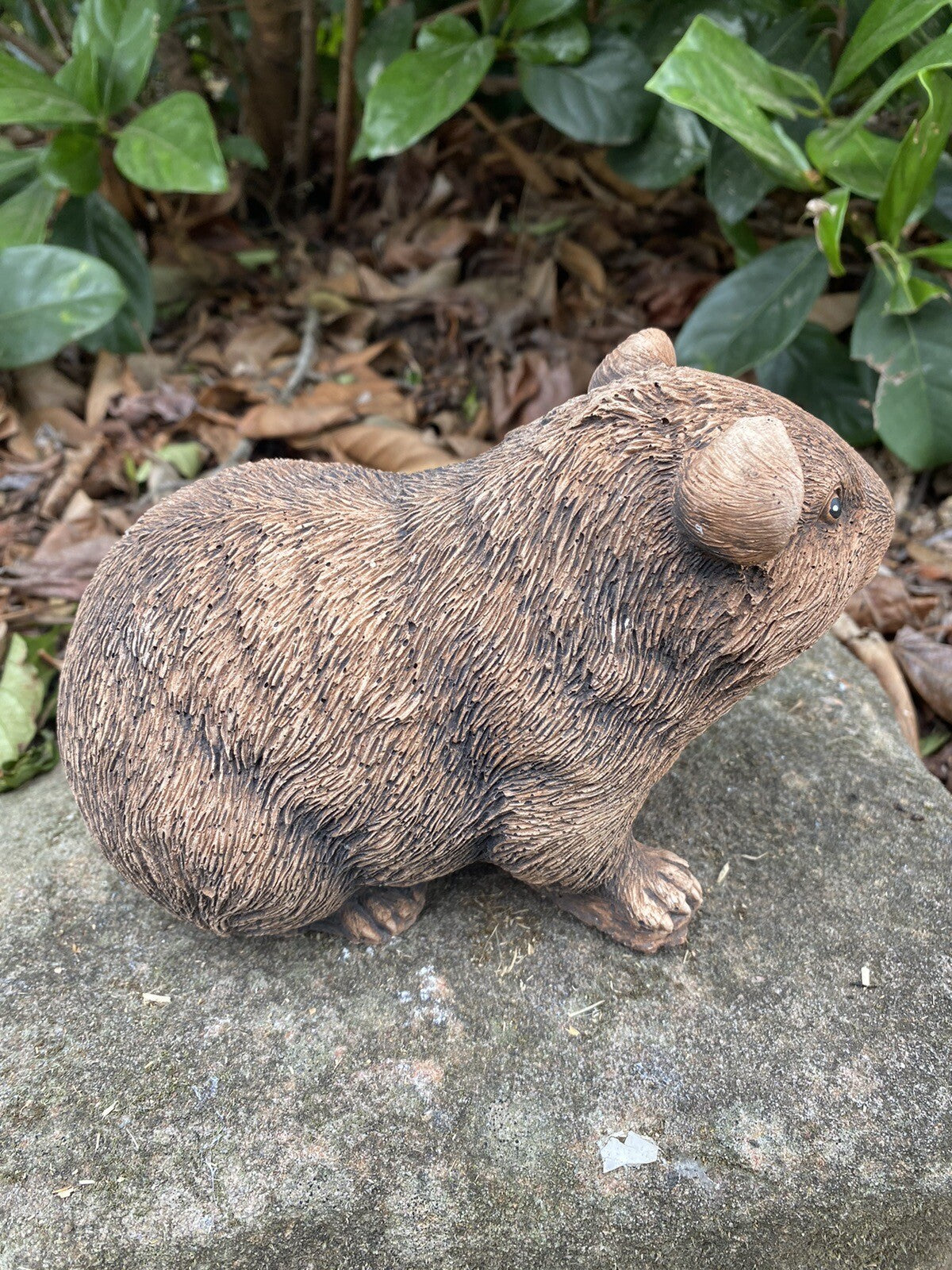 Guinea Pig Statue Ornament Farm Animal Concrete Garden Australian Made Brown
