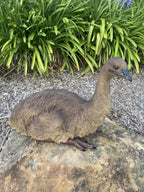 Emu Sitting Realistic Ornament Statue Garden Sculpture Décor  XLarge 65 cm