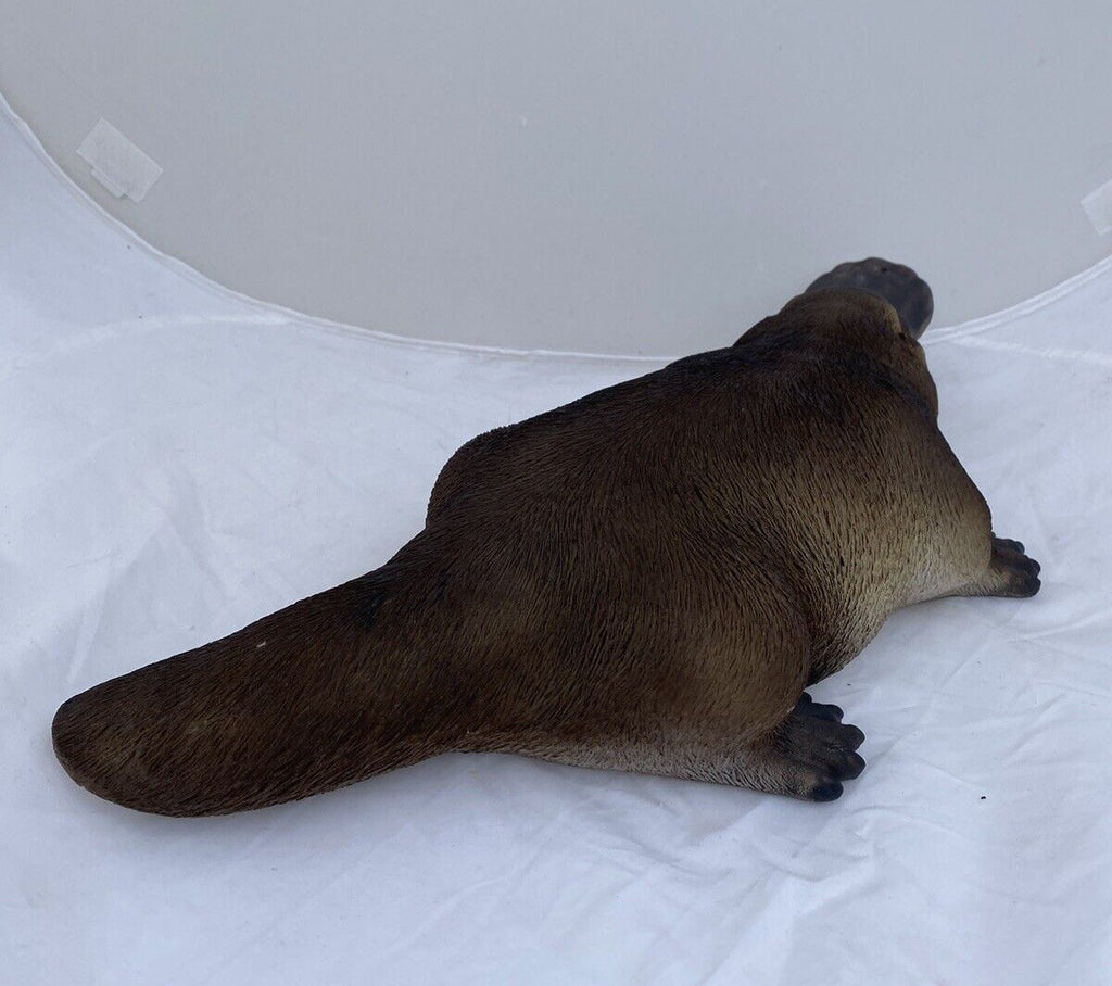 Australian Native Platypus Statue Ornament Animal  Garden Australian Made