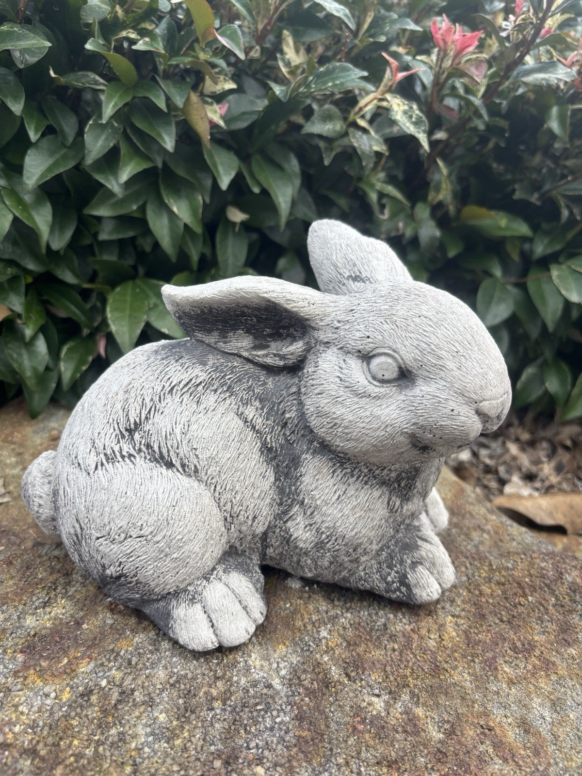 Australian Made Concrete Rabbits Garden Statue | Standing & Laying Bunny