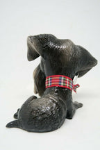 Little Paws Zak The Schnauzer Dog Figurine Statue Ornament Home Decor