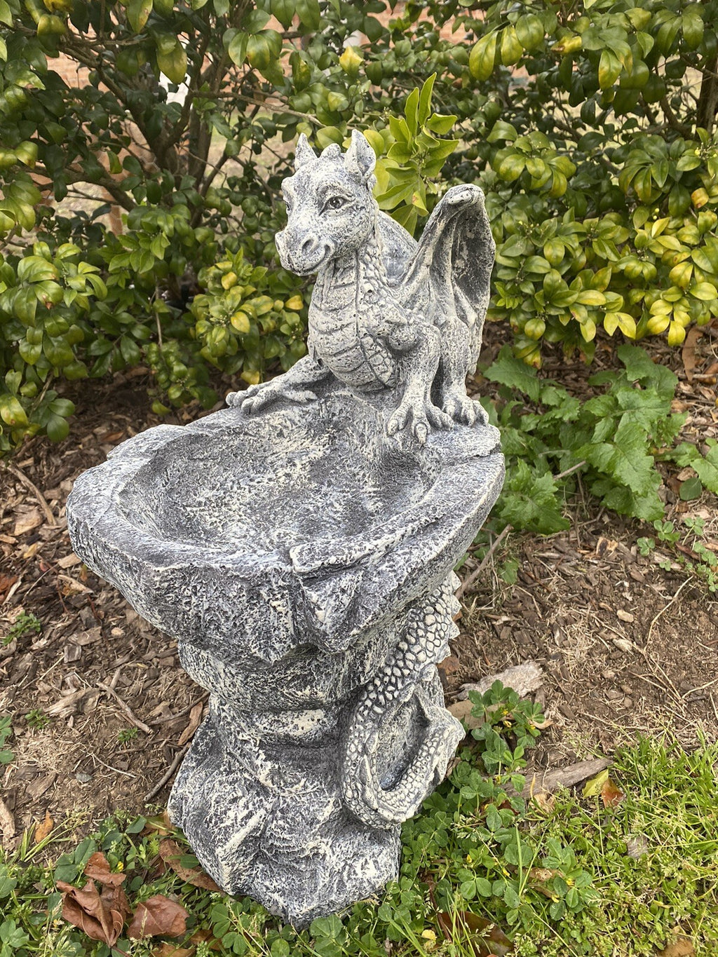 Bird Bath Bee Baths Wash Station Dragon Design Concrete Statue Ornament