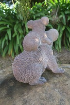 Australian Koala with Baby Garden Statue Concrete Australian Wildlife  Decor