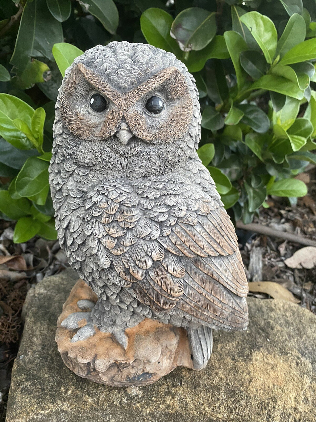 Owl Statue Ornament Animal Concrete Garden Australian Made