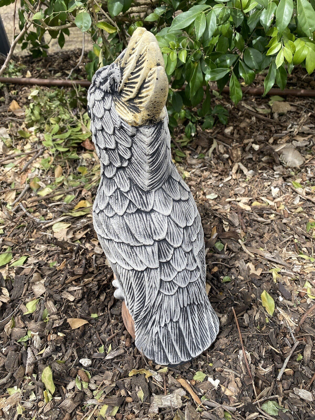 Sulfa Crested Cockatoo Statue Ornament Animal Concrete Garden Australian Made G