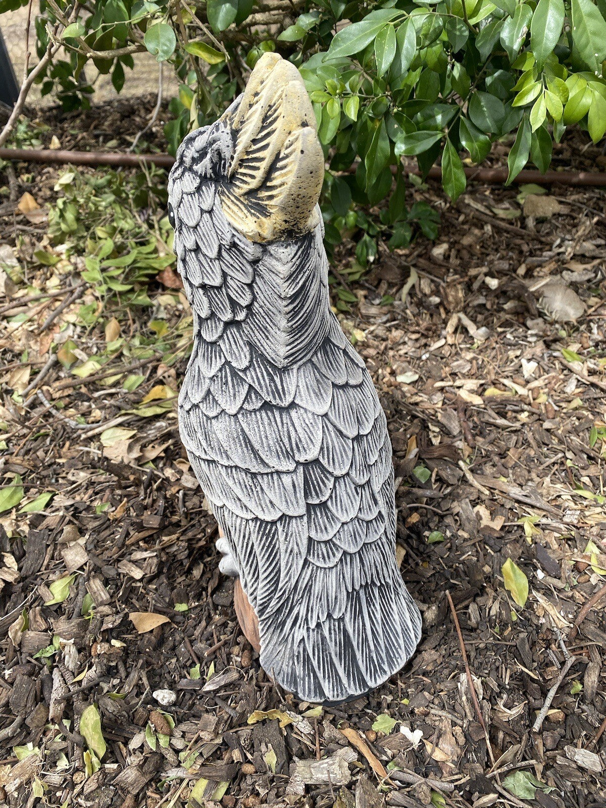Sulfa Crested Cockatoo Statue Ornament Animal Concrete Garden Australian Made G