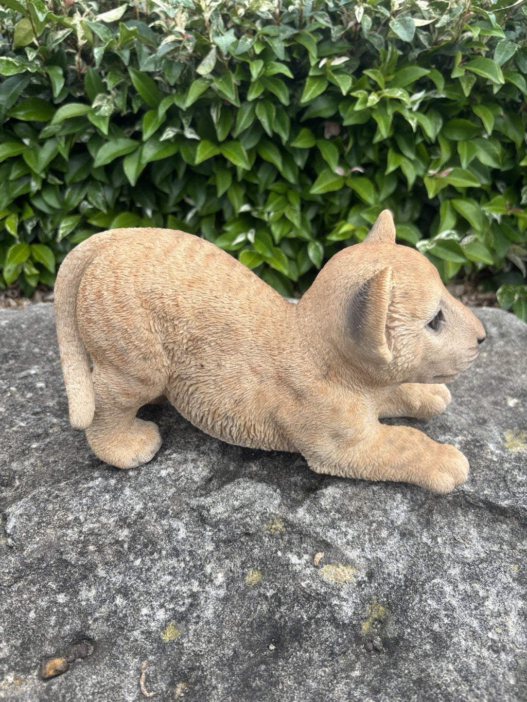 Lion Lioness Cub African Animal Statue Garden Ornament Home Decor  Figurine