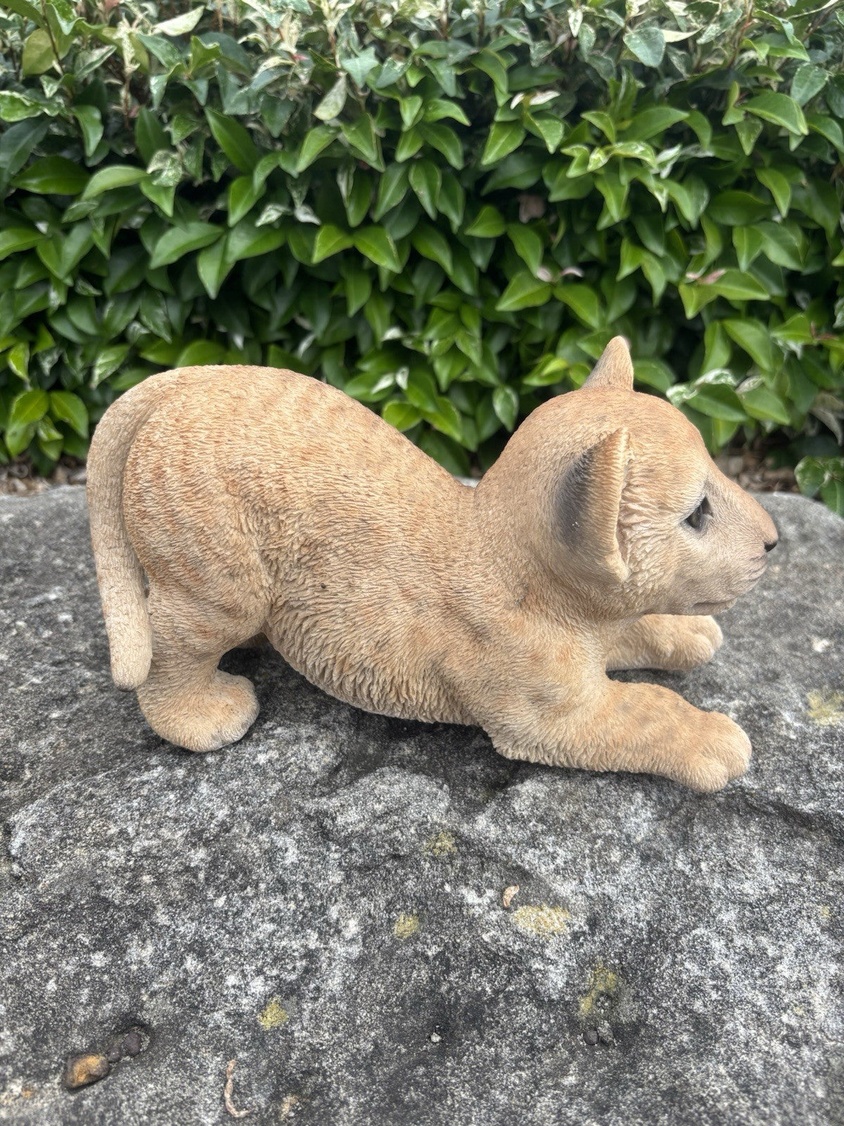 Lion Lioness Cub African Animal Statue Garden Ornament Home Decor  Figurine