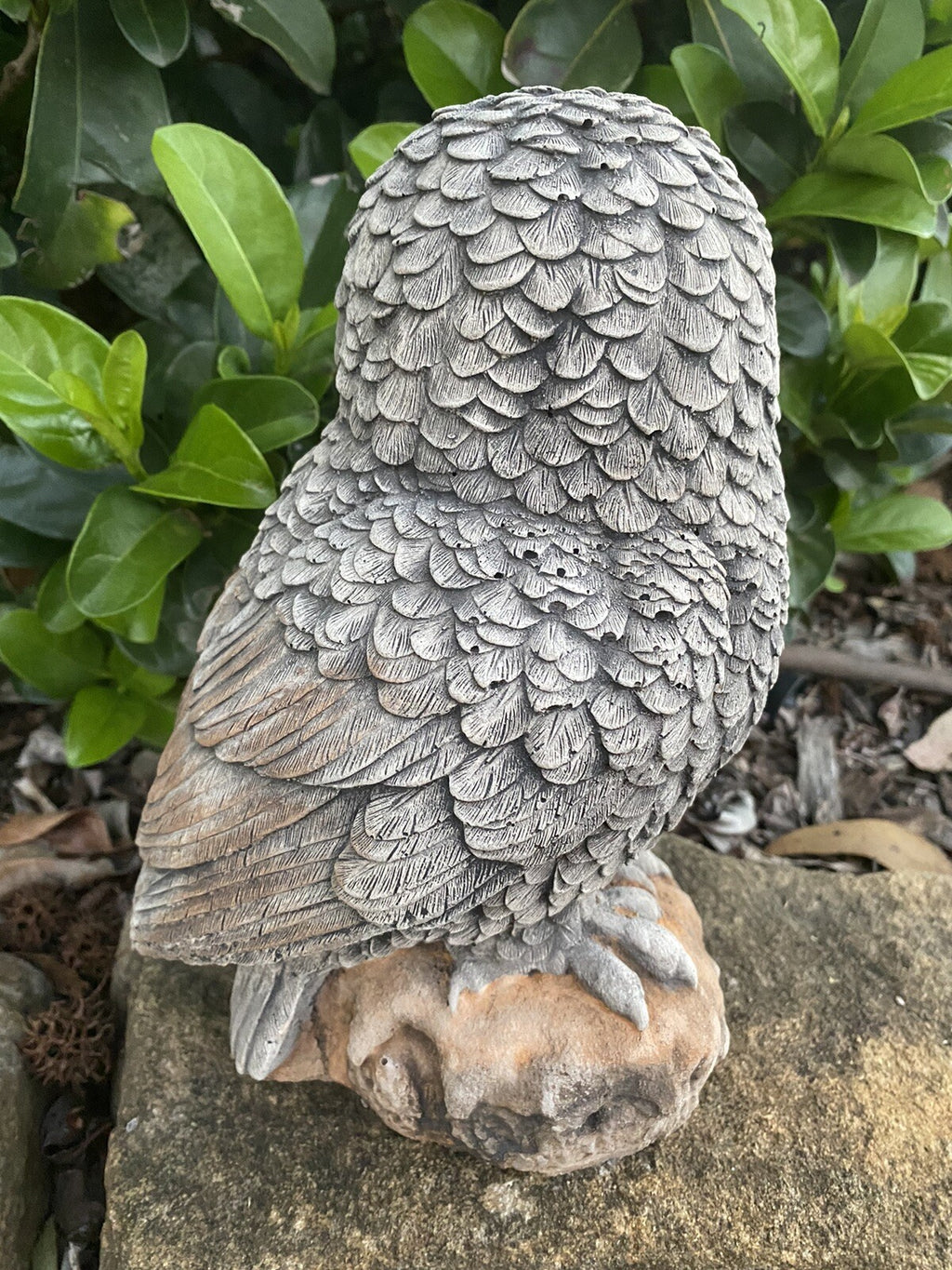 Owl Statue Ornament Animal Concrete Garden Australian Made