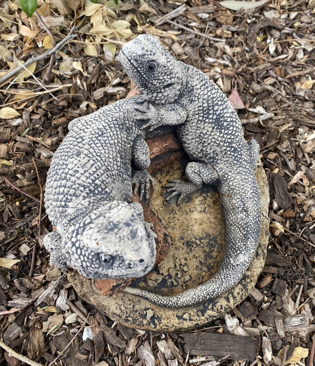 Bearded Dragon Lizard Garden Statue Ornament Animal Concrete Australia Made Pair