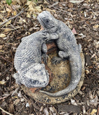 Bearded Dragon Lizard Garden Statue Ornament Animal Concrete Australia Made Pair
