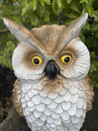BARN OWL  GARDEN ~STATUE ~ ORNAMENT ~ FIGURINE ~ HOME DECOR