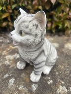 Resin Grey Tabby Cat Garden Statue | Sitting Cat Ornament