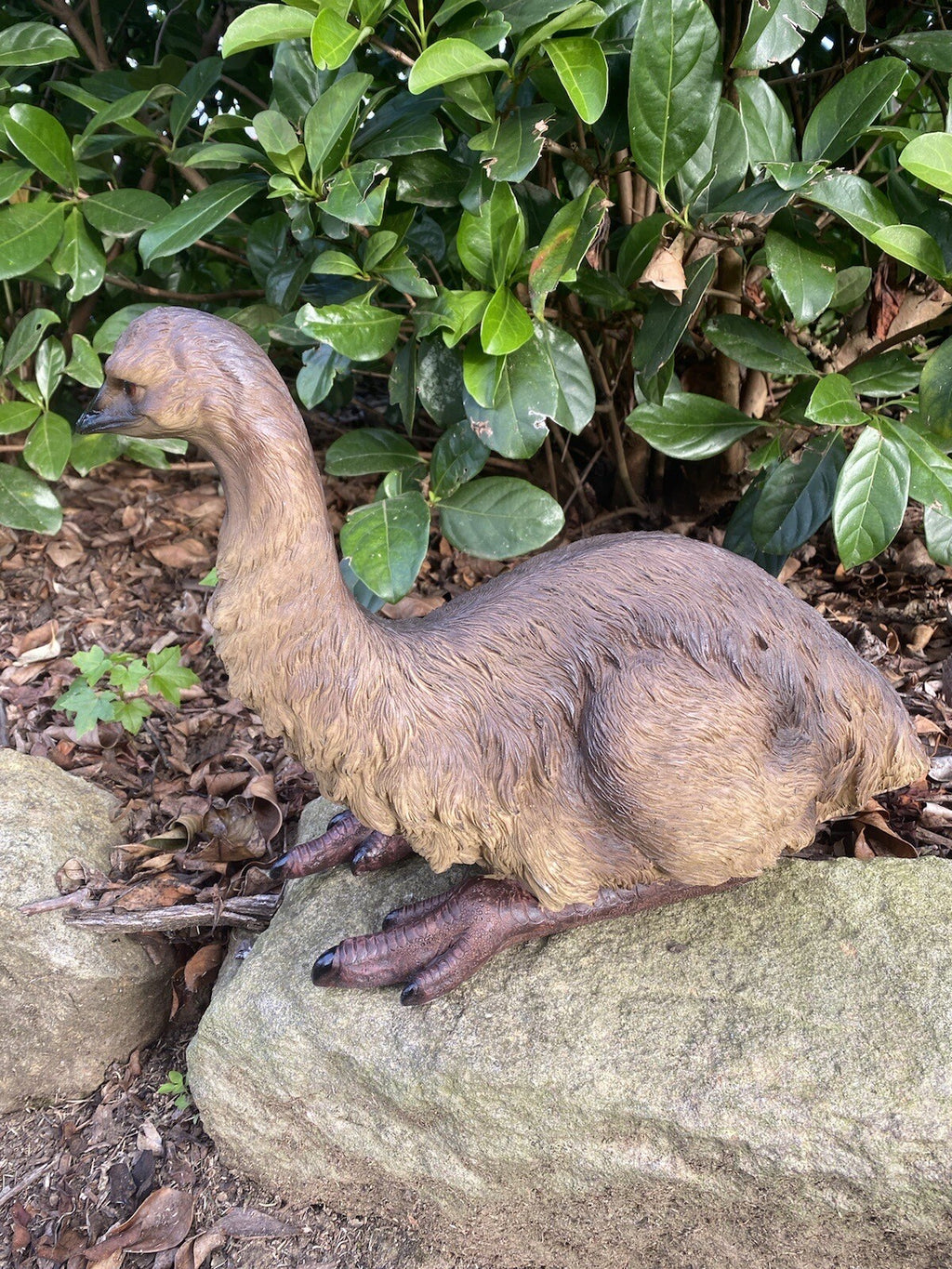 Emu Sitting Realistic Ornament Statue Garden Sculpture Décor  Large 44 cm